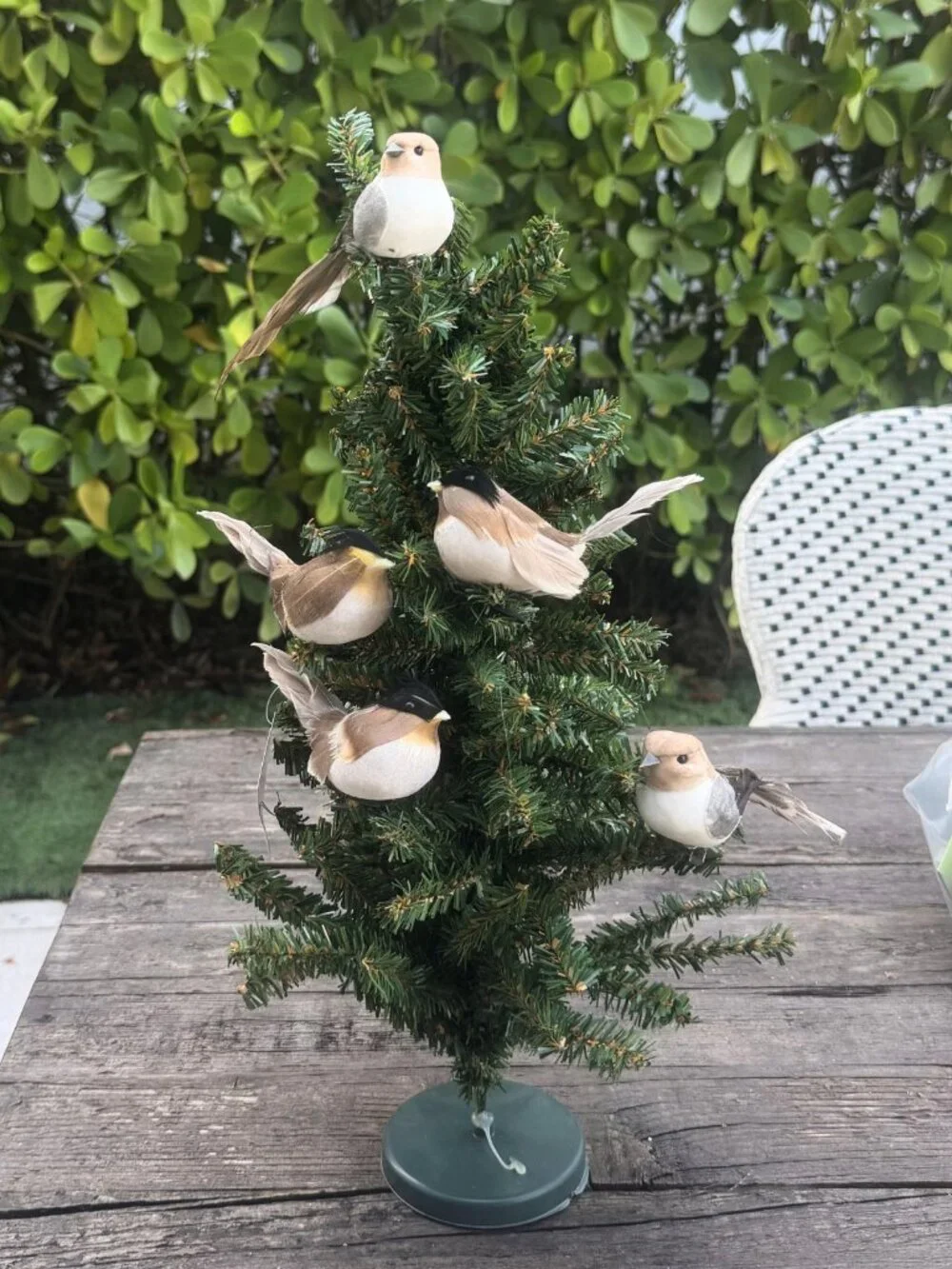 Lot of 5 Vintage Bird Clip On Christmas Tree Ornaments Woodland Cottage Decor